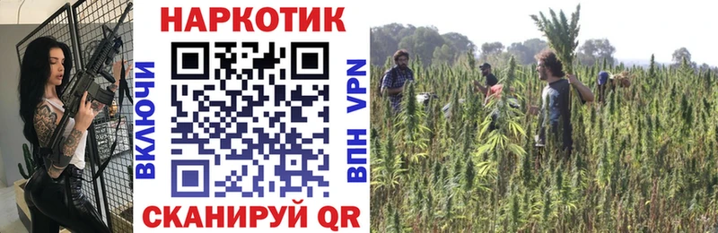 Виды наркотиков купить Артём Гашиш  Псилоцибиновые грибы  Alpha-PVP  Меф  КОКАИН 