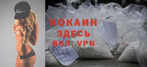 прущие грибы Костерёво