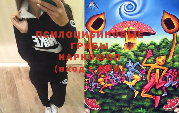 мяу мяу мука Кодинск