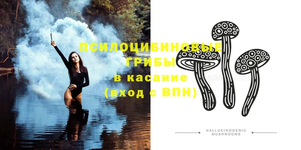 мяу мяу мука Кодинск
