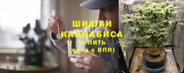 стафф Козловка
