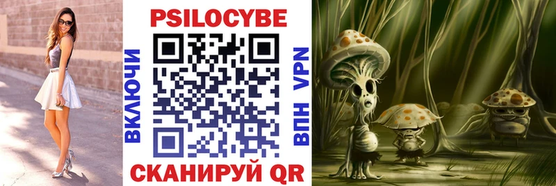 Псилоцибиновые грибы GOLDEN TEACHER  купить наркотики сайты  Артём 
